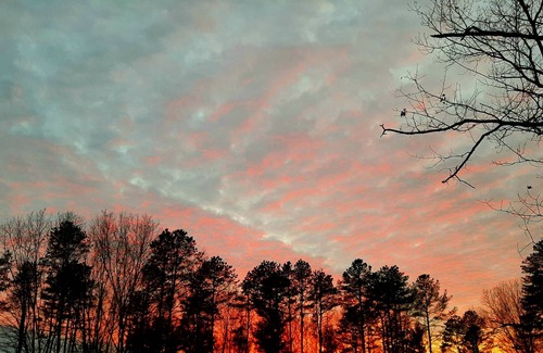 Acton House | Gorgeous views, remodeled farm house, Monthly, $3300. Mo. plas tax and fees