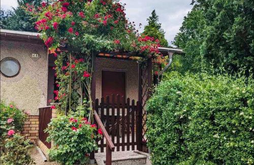 Falkenberg House | Grüner Bungalow am Kiebitzsee