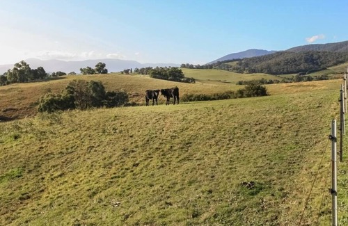 Badger Creek House | Gracedale Hills Homestead