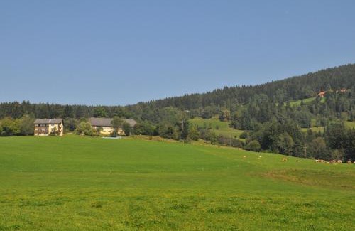Liebenfels Apartment | Graglerhof