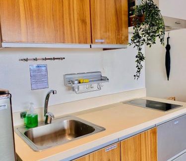Downtown Apartment | Gramercy Studio Unit- Rockwell View