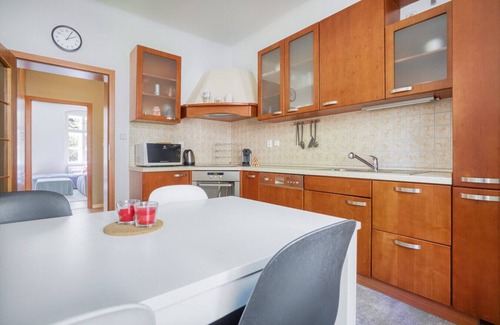 Karlovy Vary Apartment | Grand apartment near Pupp hotel