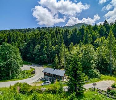 Vionnaz Apartment | Grand chalet familial en pleine nature à Torgon