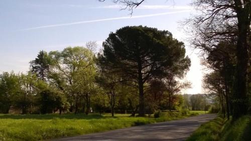 Lussan House | Grand Mas, 32 hectares, nature et retrouvailles