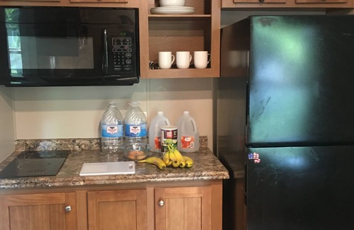 Wills Point Cottage | Grand opening price! Taste Authentic Tiny Living on the beautiful Lake