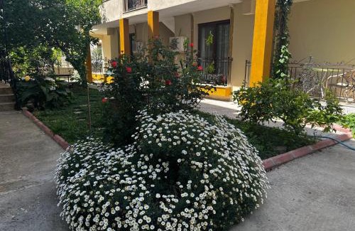 Sigacık Apartment | Grand Teoshan Otel ve Tatil Evleri