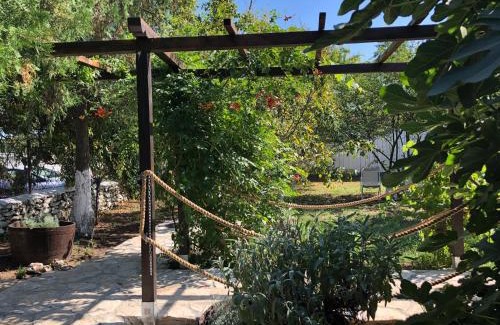 Vadu House | Grauri si Smochini