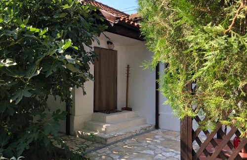 Vadu House | Grauri si Smochini