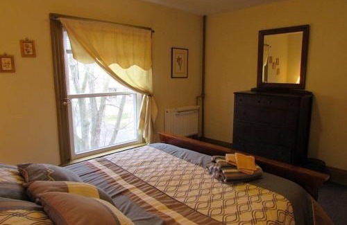 Downtown Niagara Falls House | Great Gorge Guesthouse - Walk to the Falls, the Casino and all Downtown Restaurants - Across from the Aquarium