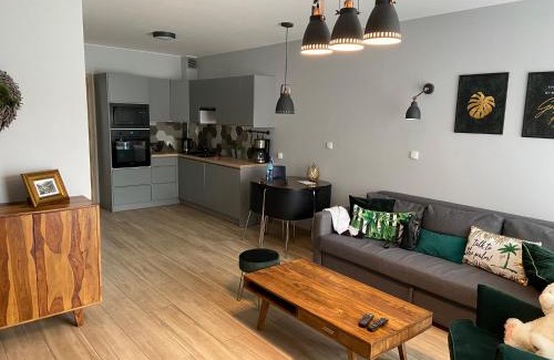 Meszna Apartment | Green Apart Mountain Szczyrk Bratków 10E