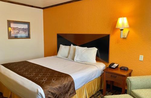 Vernon Hotel | Green bird Inn
