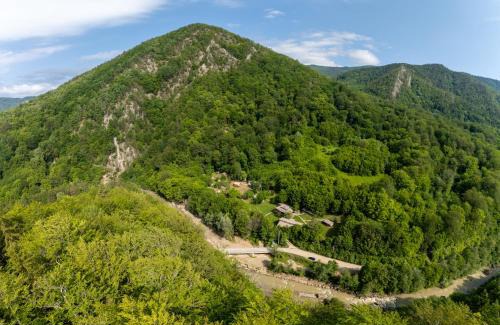 Gura Teghii Other | Green Camp - Adventure Glamping