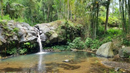Tetebatu Hotel | Green Escape