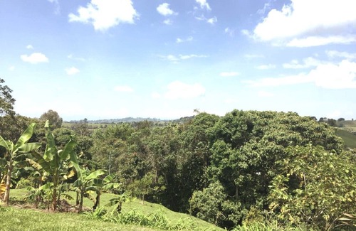Luna Park House | Green Garden Views in Circasia