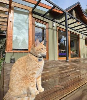 La Villa Bed & Breakfast | Green House B & B