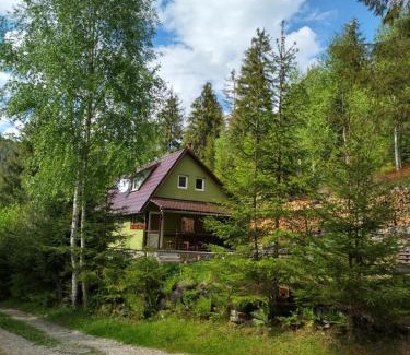 Gheorgheni House | Green House