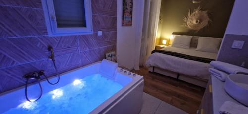 Saint-Laurent-de-Medoc Villa | Green love & Spa - Villa Romantique