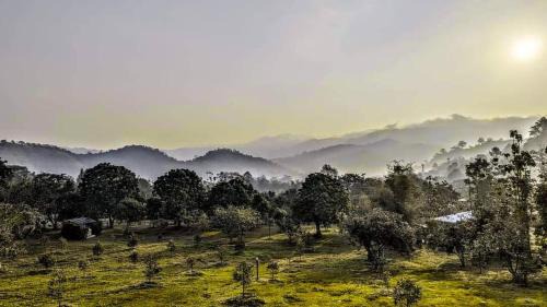 Kaeng Khoi Resort | Green Love Garden Resort