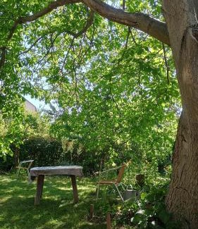 Prague 12 Apartment | Green Point - 25 min to the center by tram