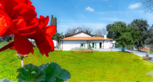 Zona XXVI Castel di Decima House | Green Woody Home