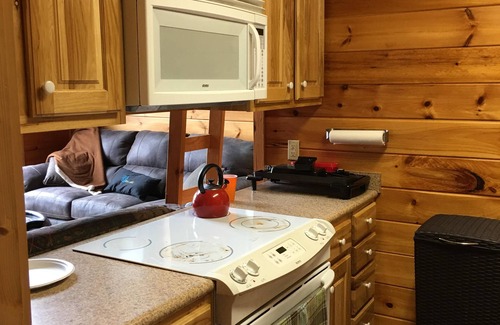 Bee Branch Cabin | Greers Ferry Lake - Crockett's Escape Cabin with 6 person hot tub