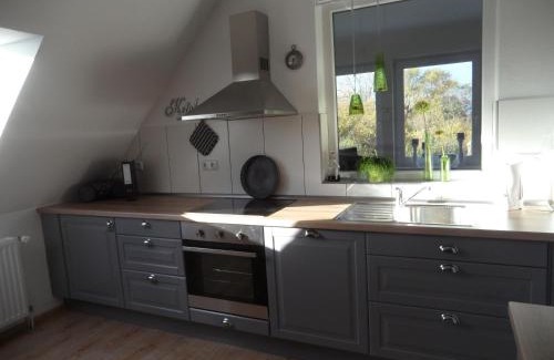 Jaderaltendeich Apartment | Große Wohnung In Diekmannshausen