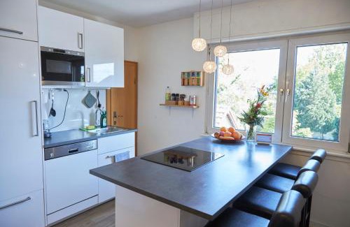 Muehlheim am Main Apartment | Großzügiges Apartment nahe Frankfurt