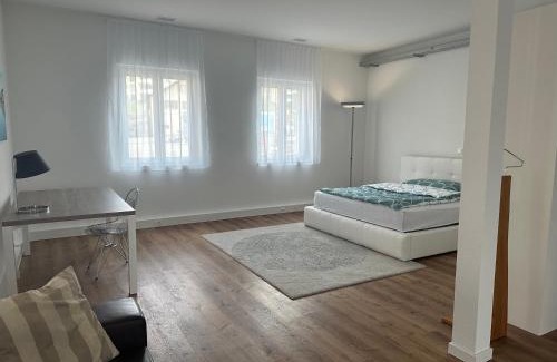 Seengen Apartment | Grosse Einzimmerwohnung/Büro/Showroom