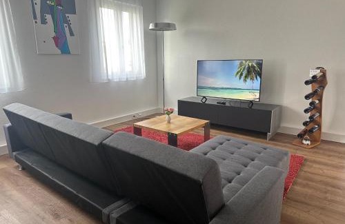 Seengen Apartment | Grosse Einzimmerwohnung/Büro/Showroom