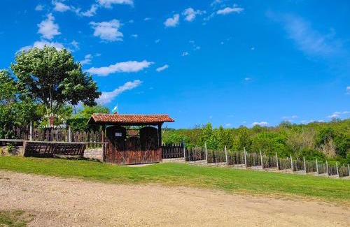 Byala House | Guest House Complex Kosharite