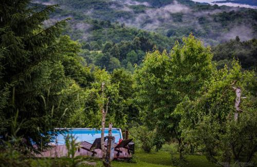 Radatovici House | Guest House Lagotto's Peak