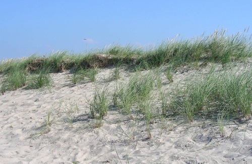 Wangerland House | Guesthouse Munchhausen