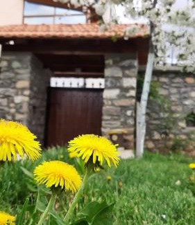 Peshkopi House | Guesthouse Tershana