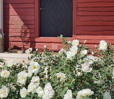 Heinola Bed & Breakfast | Hämeenniemi B&B Aitta, Barn