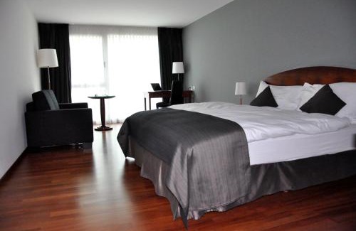 Bulle Hotel | Hôtel Rallye & Entrées aux Bains de la Gruyère