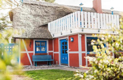 Zingst House | Höhensonne