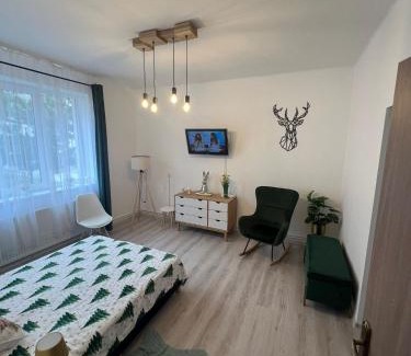 Balan Apartment | Hășmaș Peak Escape