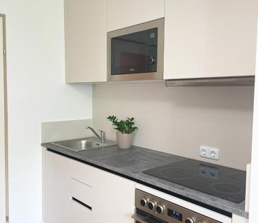 Bad Sauerbrunn Apartment | H2 – Gemütlichkeit in Bad Sauerbrunn!