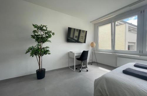 Iselin Apartment | H95 Studios in Basel City with Basel Card