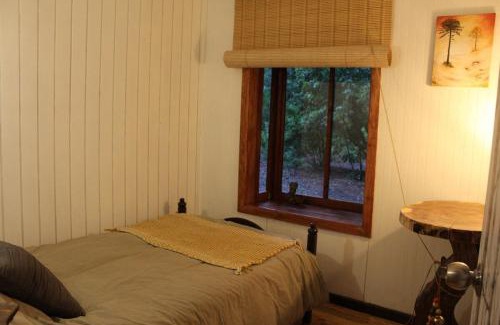 Ralco Bed & Breakfast | Habitaciones en el bosque LLiwin ko Alto Biobio