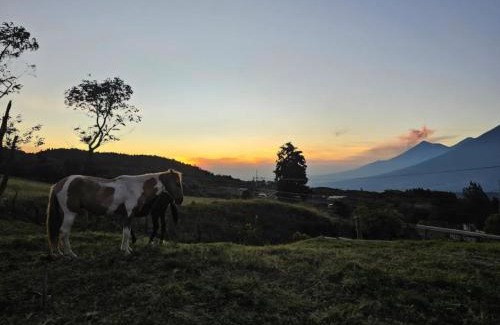 San Vicente Pacaya Bed & Breakfast | Hacienda Tierra de Fuego Pacaya