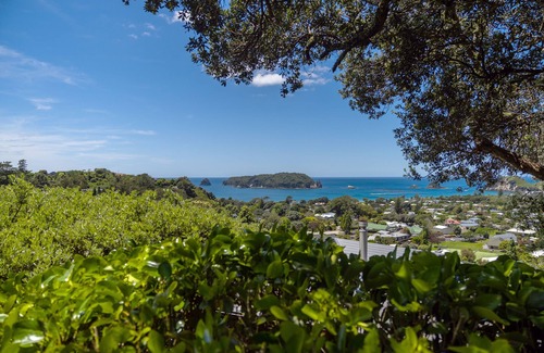 Hahei House | Hahei Tree Top Retreat