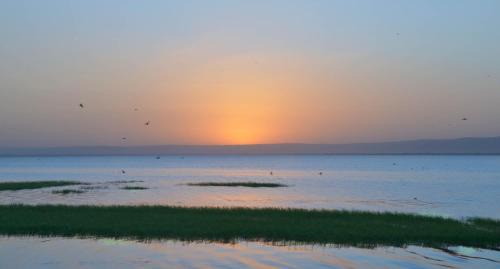 Awassa Resort | Haile Resort Hawassa