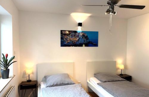 Oestrich-Winkel Apartment | Hallgarten Rebe 11