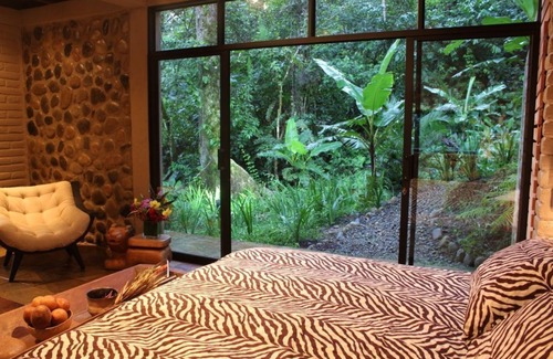 Puerto Napo Hotel | Hamadryade Lodge