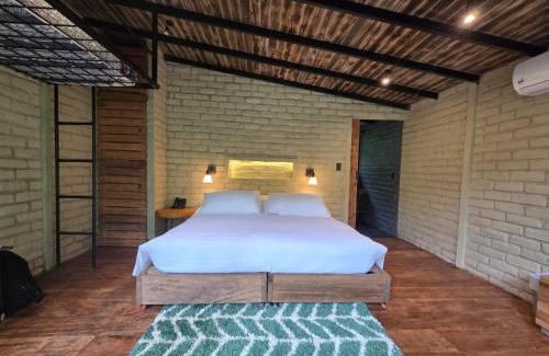 Ecuadorian Amazon Cabin | Hamadryade Lodge