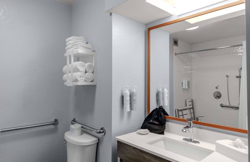 Sarasota Hotel | Hampton Inn Sarasota - I-75 Bee Ridge
