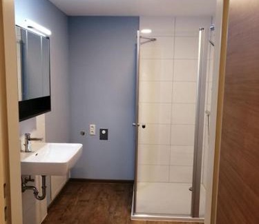 Waizenkirchen Apartment | Hansmayrgut