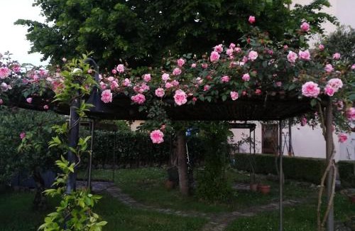 Viggianello Bed & Breakfast | Happy Family B&B