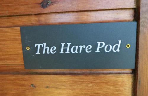 Scarborough House | Hare Pod